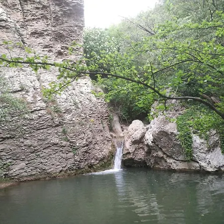 Vieniacasaccadia Accadia