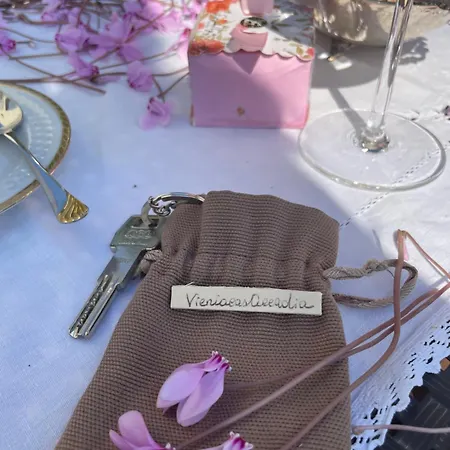 Vieniacasaccadia Accadia